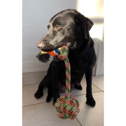 Knudereb med tennisbold 53 cm